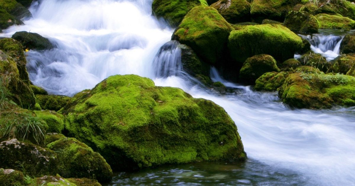 (c) Wia-ingenieure.de